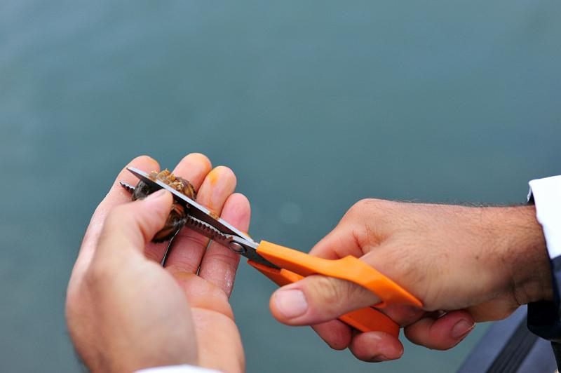 Peche sportive 5.JPG